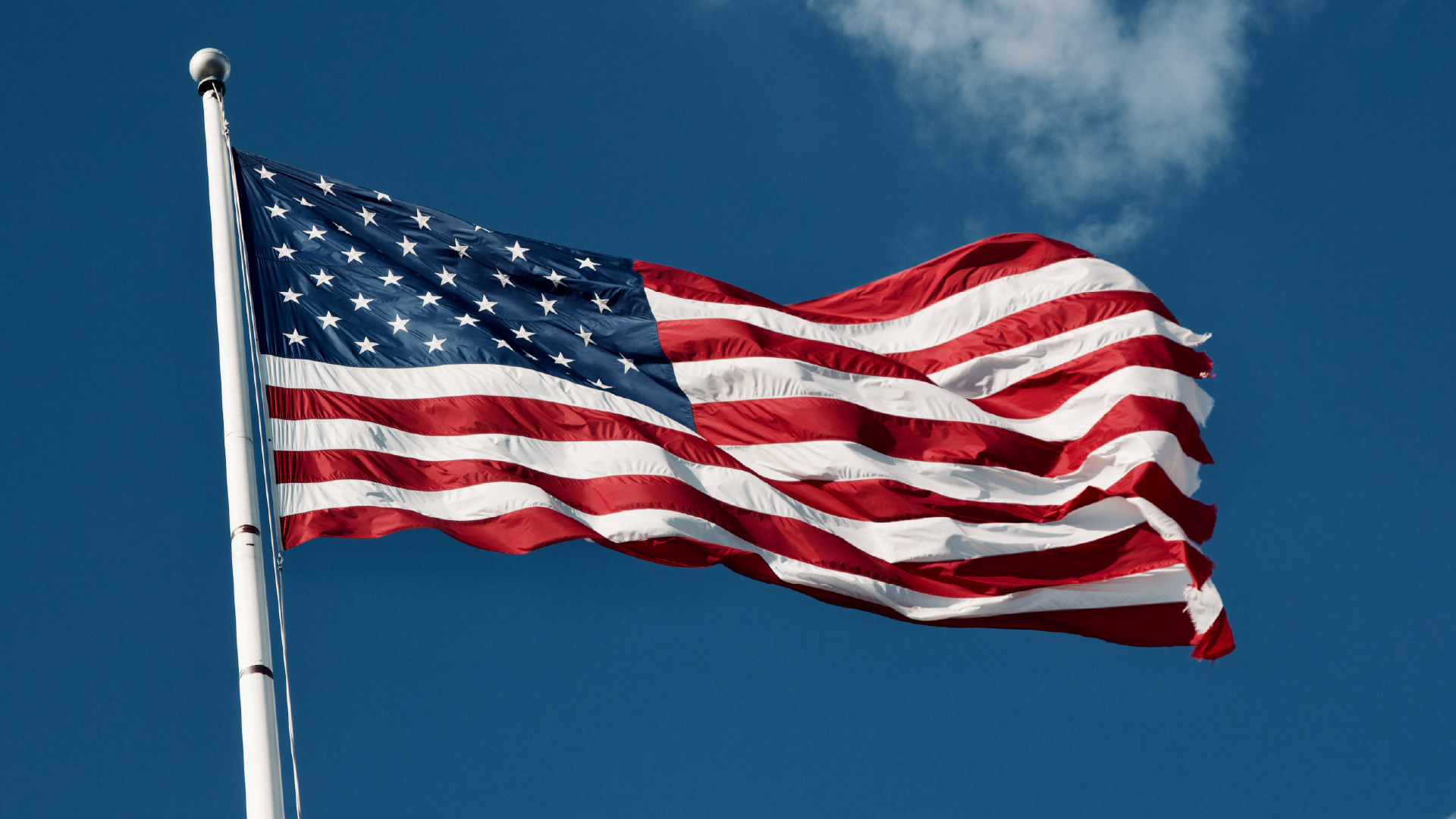 AUC Woodruff Library Celebrates 25 Years in the Federal Depository ...